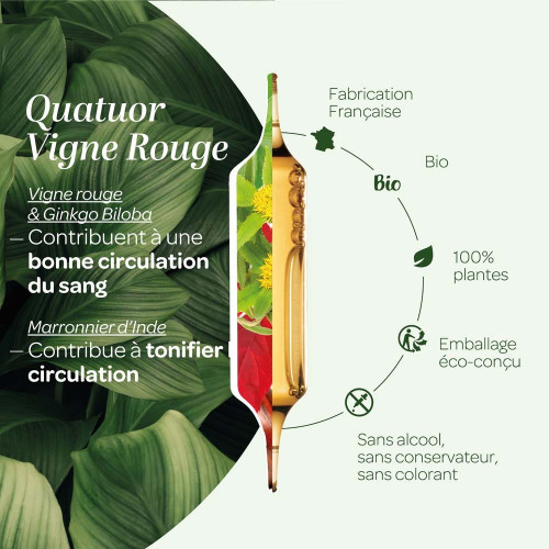 Quatuor circulation bio 20 ampoules