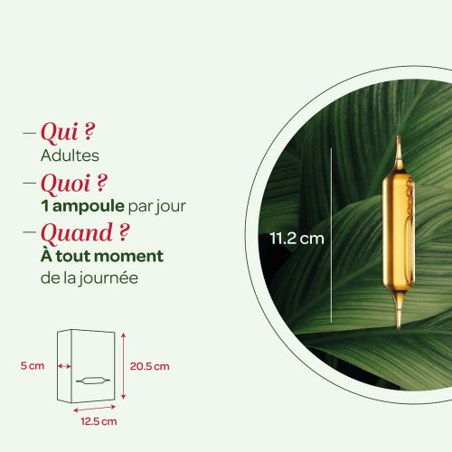 Quatuor circulation bio 20 ampoules