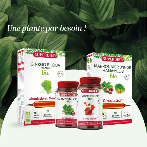 Quatuor circulation bio 20 ampoules