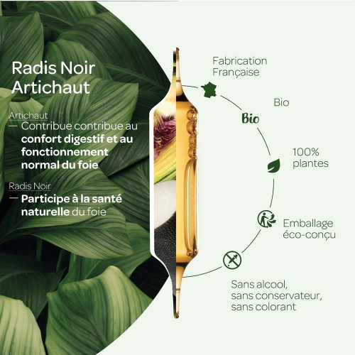 Radis Noir Artichaut Bio 20 Ampoules