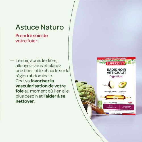Radis Noir Artichaut Bio 20 Ampoules