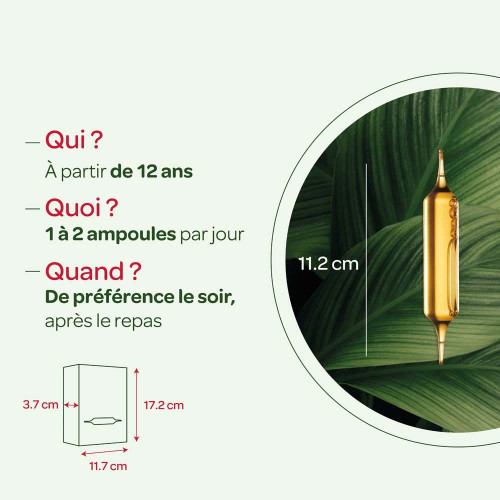 Radis Noir Artichaut Bio 20 Ampoules