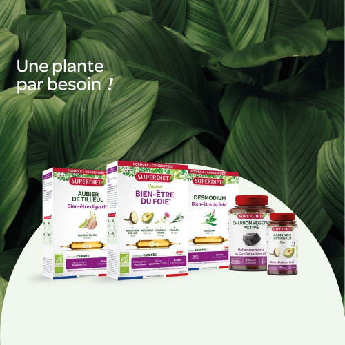 Radis Noir Artichaut Bio 20 Ampoules