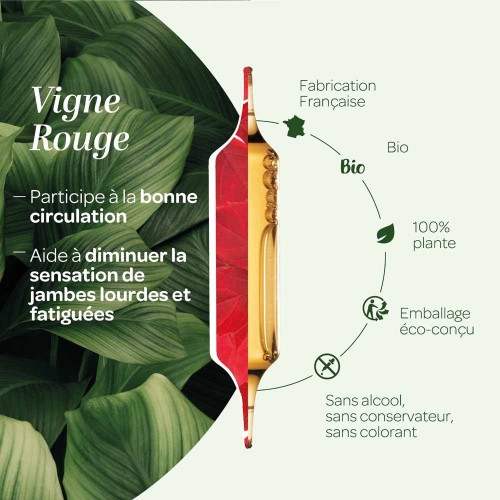 Vigne Rouge Bio 20 Ampoules