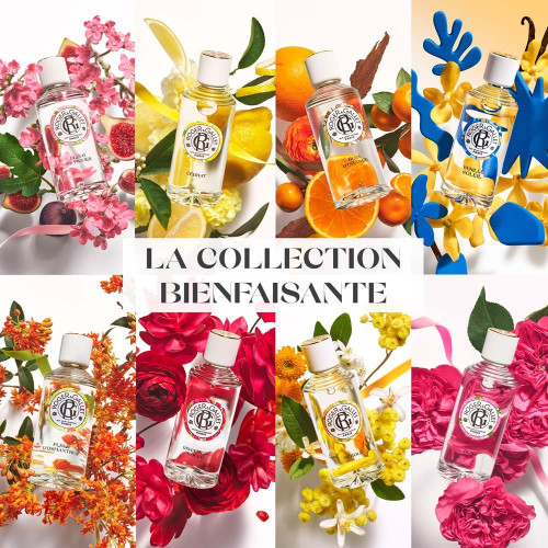 Gel Douche Bienfaisant Fleur de Figuier 500 ml