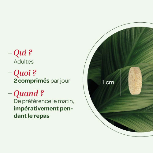 Superdiet Quatuor Maté Brûle-Graisse 150 Comprimés Vegan Minceur Bio