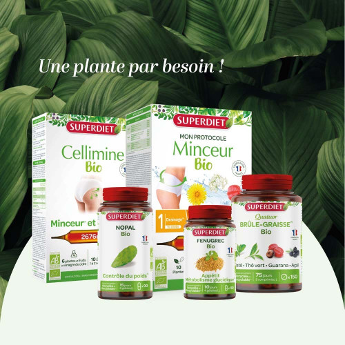 Superdiet Quatuor Maté Brûle-Graisse 150 Comprimés Vegan Minceur Bio