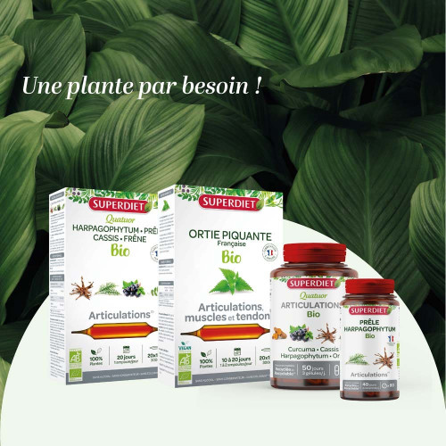 Superdiet Quatuor Articulations Bio 20 Ampoules Mobilité Articulaire