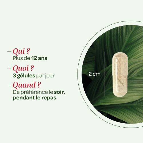 Superdiet Rhodiola Bio 90 gélules - Réduit stress et fatigue - Pharma360