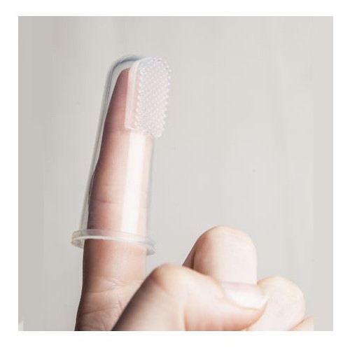 Miss Brossette Doigtier Brosse à Dents