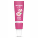 Contour des Yeux Lissant à la Rose Musquée & Thé Blanc 12 ml