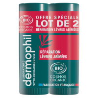 Dermophil Indien Stick Réparation Lèvres Abîmées 2x4g 