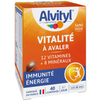 Alvityl Vitalité 40 Comprimés - Boost Forme et Équilibre