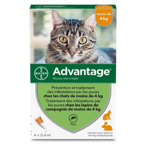 ELANCO Advantage Chat - 6 Pipettes 0.4ml - Antiparasitaire Efficace,