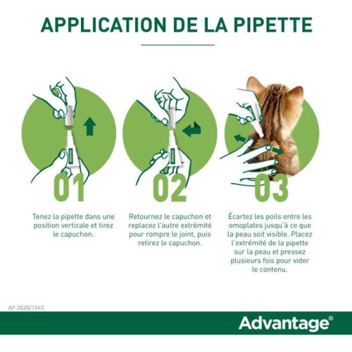 ELANCO Advantage Chat 4Kg+ 6 Pipettes 0.8mL - Antiparasitaire Efficace
