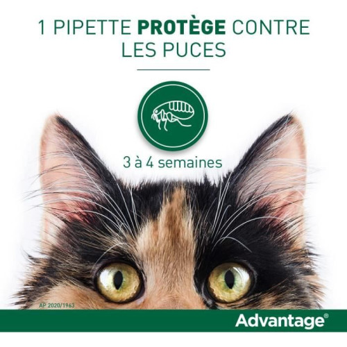 ELANCO Advantage Chat 4Kg+ 6 Pipettes 0.8mL - Antiparasitaire Efficace