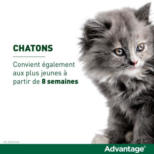 ELANCO Advantage Chat 4Kg+ 6 Pipettes 0.8mL - Antiparasitaire Efficace