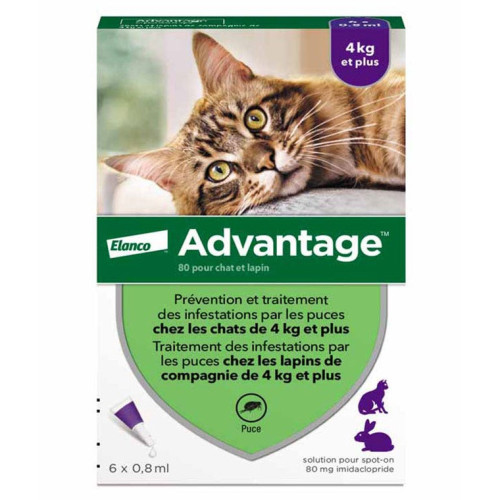 ELANCO Advantage Chat 4Kg+ 6 Pipettes 0.8mL - Antiparasitaire Efficace