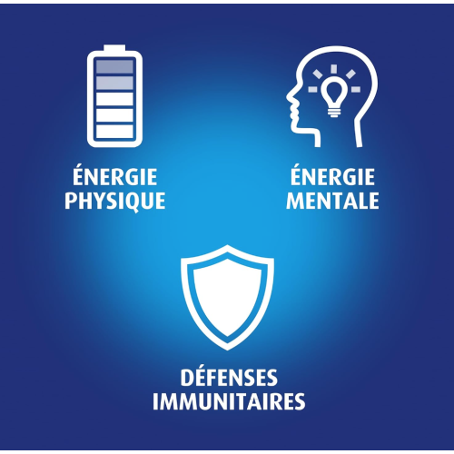 BION 3 Vitalité 60 Comprimés - Boost Energie et Immunité sur