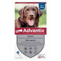 ELANCO Advantix Grand Chien 25-40kg 6x4mL - Protection Triple Action