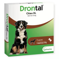 Chien XL 2 comprimés