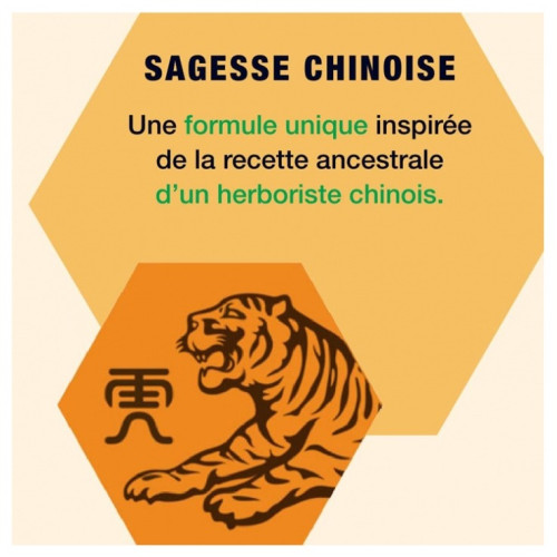 Patch Baume du Tigre Anti-Douleur : Soulagement Froid 6h - 3 Patchs
