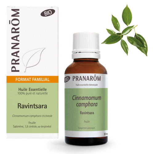 Huile Essentielle Ravintsara Bio - 30ml | Antiviral & Immunostimulant