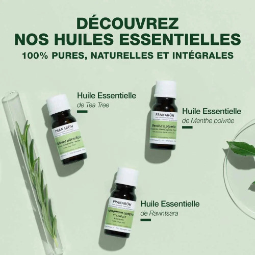 Litsée Citronnée Bio Pranarôm - 10ml - Anti-stress & Pure Naturelle