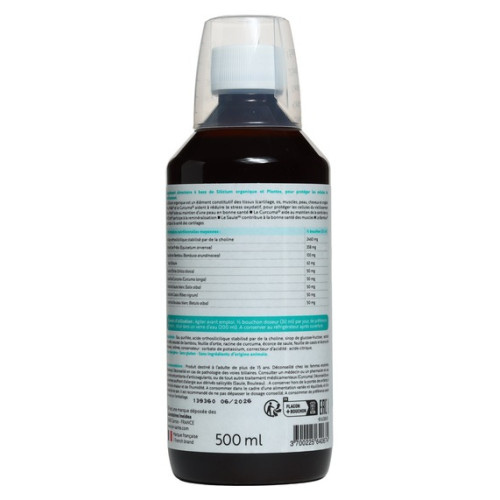 Silibiol Silicium S - Protection Cellulaire & Anti-Âge | Ineldea