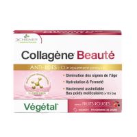 Collagène Beauté 3 Chênes Poudre 25 Sachets