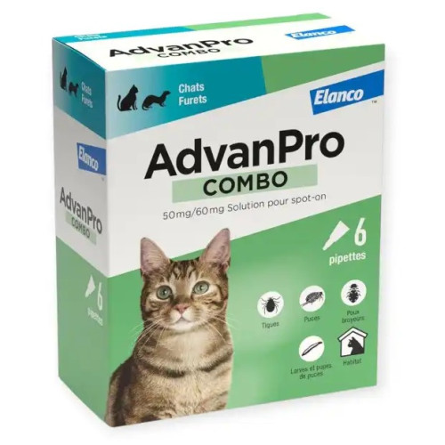 AdvanPro Combo Elanco : 6 pipettes anti-puces & tiques chats/furets