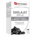 Shilajit Forté Pharma 1000mg - Énergie & Vitalité Naturelle