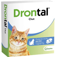 Vermifuge Drontal Chat : Élimine vers en 1 dose, idéal dès 3 semaines