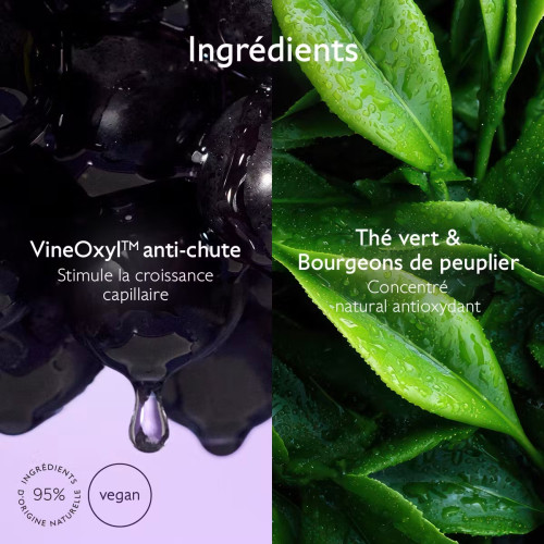 Shampoing Caudalie Volume VineOxyl™ : Densité Naturelle 200ml