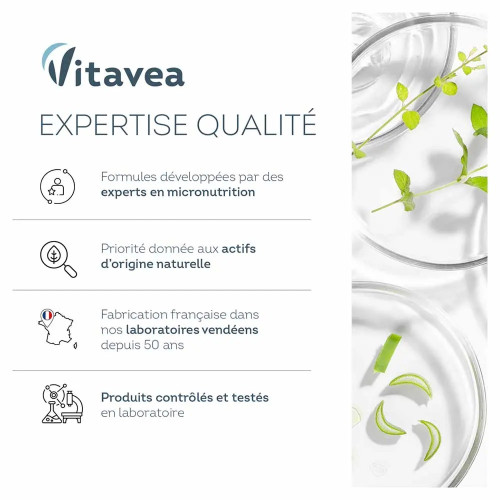 Vitavea Hydrafresh : Circulation légère et hydratation sans sucres