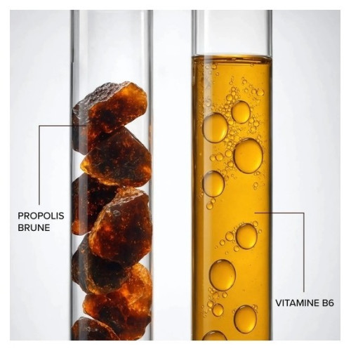Ampoules Propolis 1000 mg : Immunité renforcée avec vitamine B6