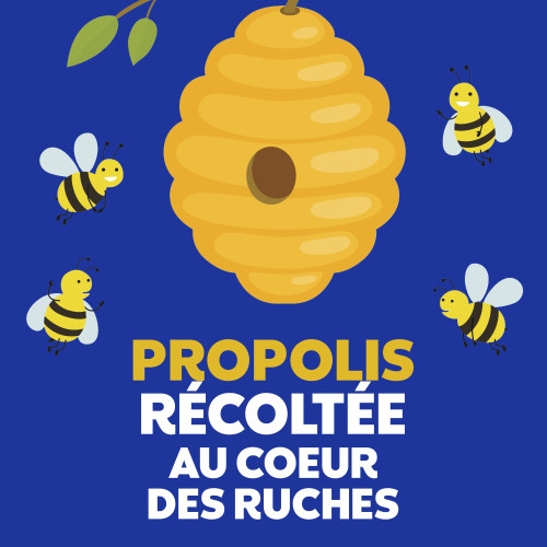 Vicks Oropolis Spray Adoucissant pour la Gorge 20 ml