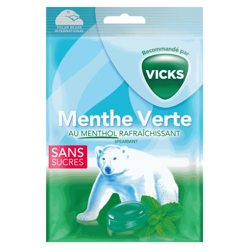 Sans sucre bonbons menthe verte 72 g