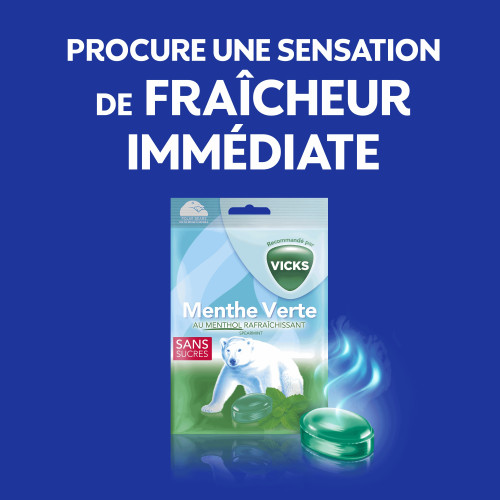 Sans sucre bonbons menthe verte 72 g