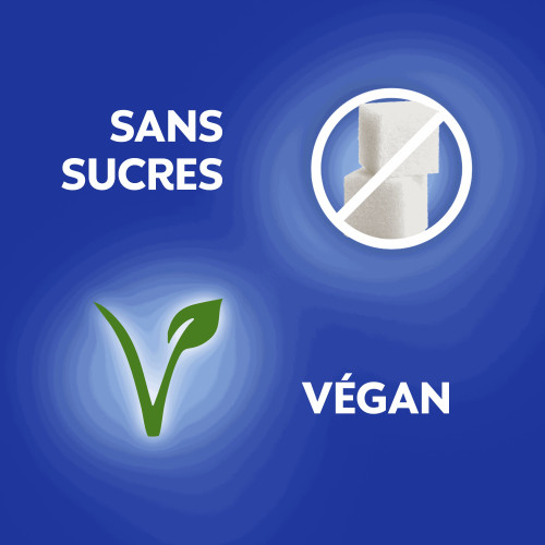 Sans sucre bonbons menthe verte 72 g