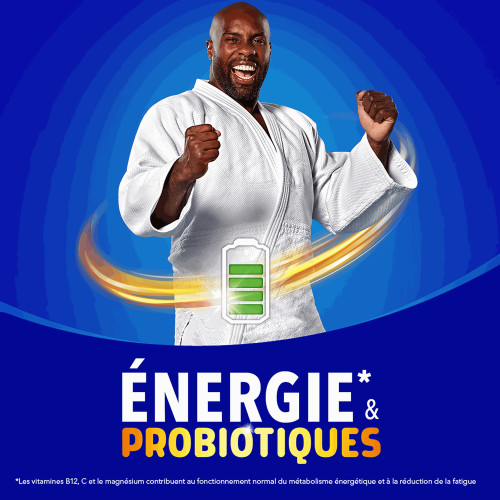 BION 3 Vitalité 30 Comprimés - Energie et Immunité