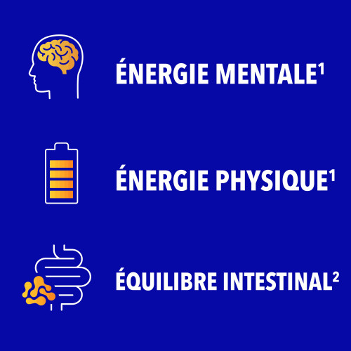 Bion 3 Energie et Equilibre intestinal 60 gommes