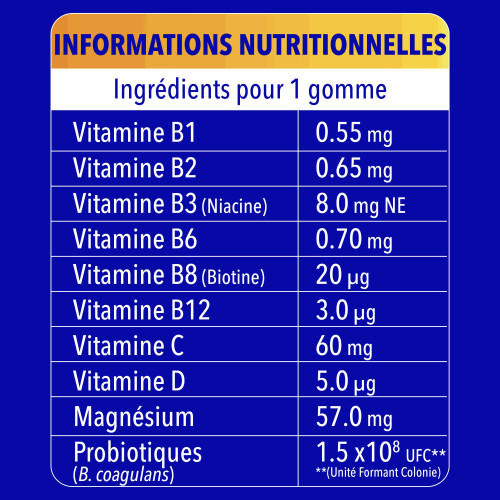 Bion 3 Energie et Equilibre intestinal 60 gommes