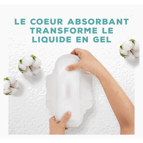 Cotton Protection 8 Serviettes Hygiéniques Taille 3 Night