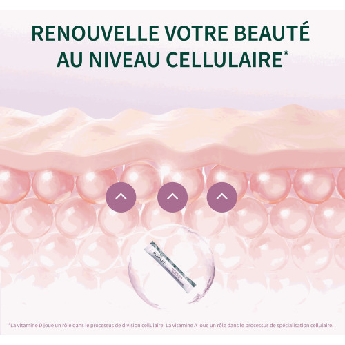 Régénération de la peau 28 sticks