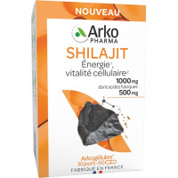 Shilajit Arkopharma : Soutien Énergétique Naturel - 60 Gélules