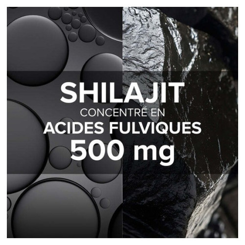 Shilajit Arkopharma : Soutien Énergétique Naturel - 60 Gélules