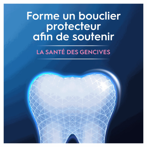 Oral B Dentifrice Protection Gencives 75 ml Santé Gencives Pharma360
