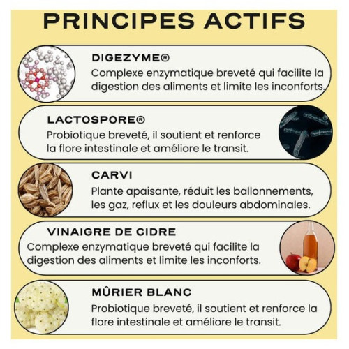 Circles Digest+ 5J : Cure flash digestion légère & ballonnements