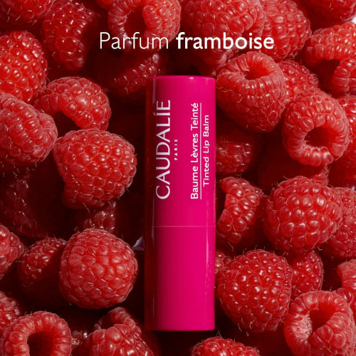 Caudalie Baume Lèvres Teinté 4,5g Hydratation Longue Durée Parapharmacie